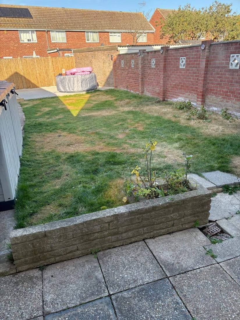 Garden before landscaping work